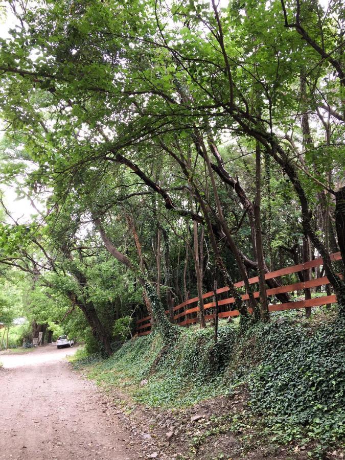 温基约Casa Brava住宿加早餐旅馆 外观 照片